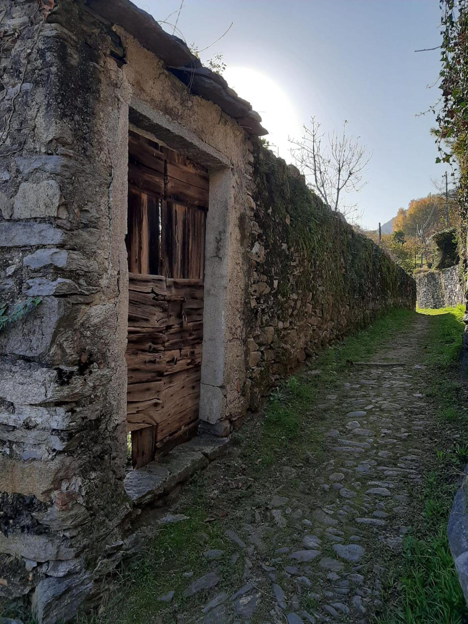 Residenza Le Camelie Apartment Oggebbio Luaran gambar
